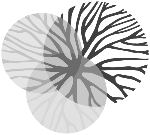 Network_OEVS